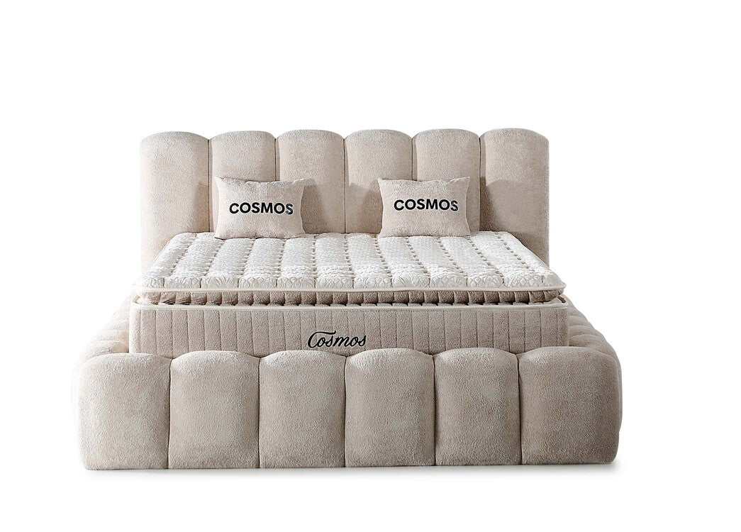 Cosmos
