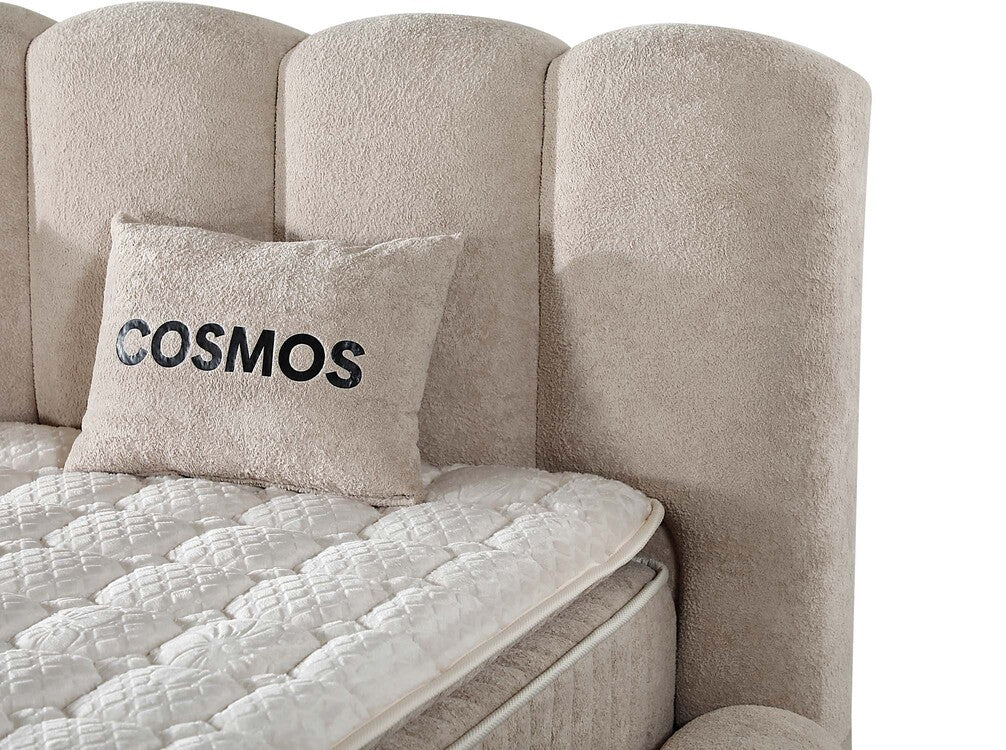 Cosmos